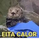REAÇÕES KKKK 3