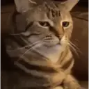 REAÇÕES KKKK 13