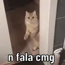 Animadas selecionadas 5
