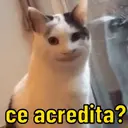 Memes que te representa 13