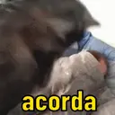 Memes que te representa 14