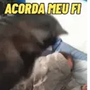 RESMUNGANDO 😂 3