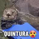 RESMUNGANDO 😂 4