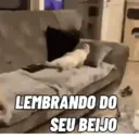 RESMUNGANDO 😂 8