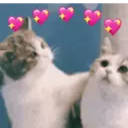 As melhores reações 😄 12