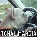 MOMENTOS ENGRAÇADOS 1