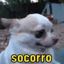 MOMENTOS ENGRAÇADOS 2