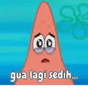 Patrick si pintar 10