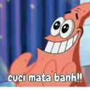 Patrick si pintar 12