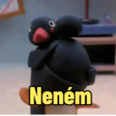Pingu🐧🐧🐧 8