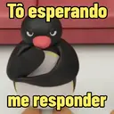Pingu🐧🐧🐧 12