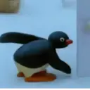 Pingu🐧🐧🐧 15