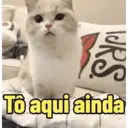 Reações animadas😎❤️ 6