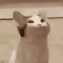 Funny Reactions 3