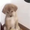 Reações engraçadas 😁 1