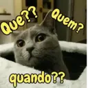 Reações engraçadas 😁 6