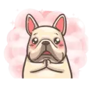 French animasi 5