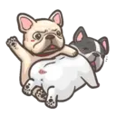 French animasi 19