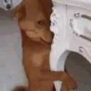 Essas tão mt boas KKKKKK 6