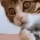 Figurinhas de qualidade 10