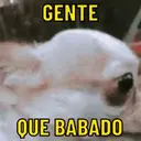 REAÇÕES PETS  1