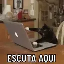 REAÇÕES PETS  3