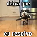 REAÇÕES PETS  5