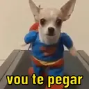 REAÇÕES PETS  6