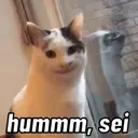REAÇÕES PETS  7