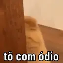 REAÇÕES PETS  8