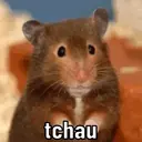 REAÇÕES PETS  9