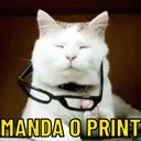 REAÇÕES PETS  11