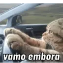 REAÇÕES PETS  13