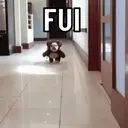 REAÇÕES PETS  14