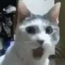 MELHORES REAÇÕES!!! 13