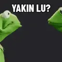 Kermit si Kodok 6