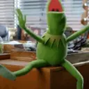 Kermit si Kodok 14