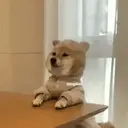 Cariñositos Bonitos😻😻 1
