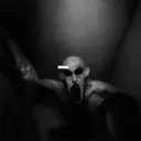 Ataque de Criatura Oscura