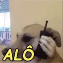 MELHORES REAÇÕES ANIMADAS 😍 6