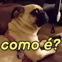 MELHORES REAÇÕES ANIMADAS 😍 9
