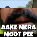 Viral Memes 1