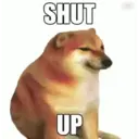 Viral Memes 15