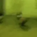 OS MELHORES MEMES 1