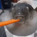 OS MELHORES MEMES 12