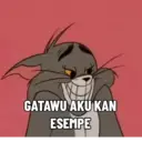 Tom & Jerry Ucul 2