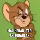 Tom & Jerry Ucul 10
