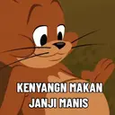 Tom & Jerry Ucul 11