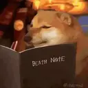 Memes 15