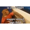 Aaaaaaaa 6